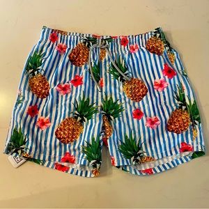 MC2 Saint Barth Mens Gustavia Drink Pineapple Swim Shorts